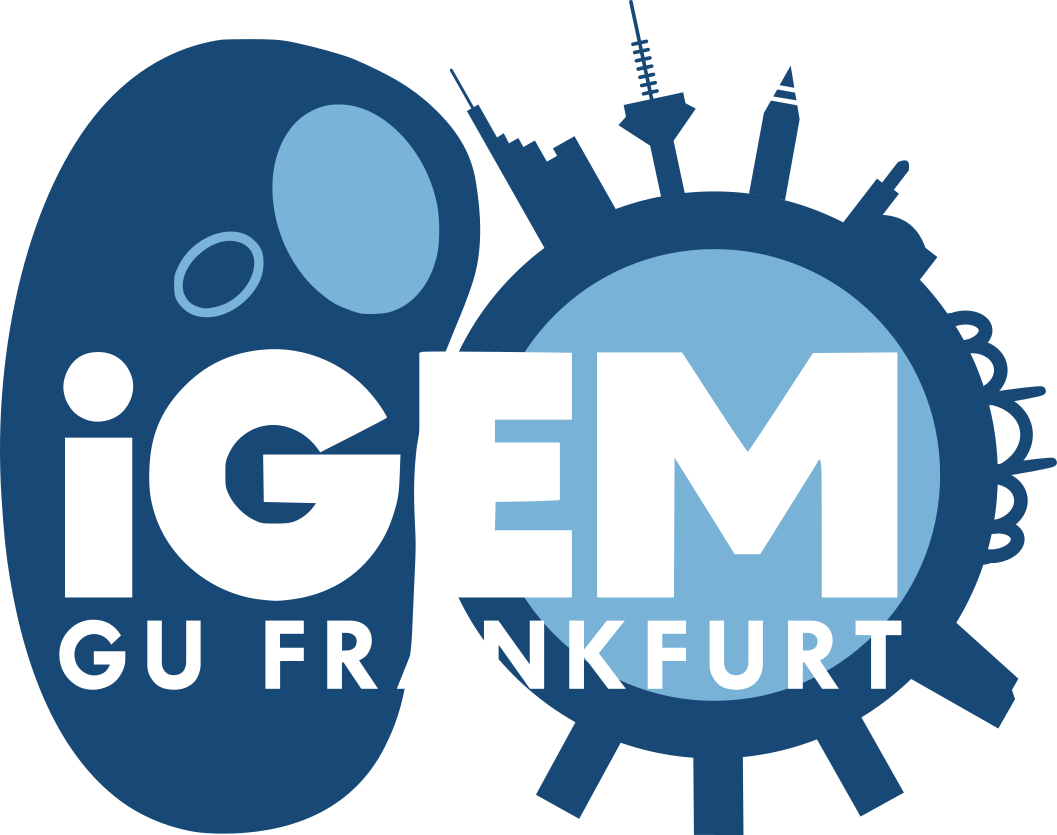 iGEM Goethe University